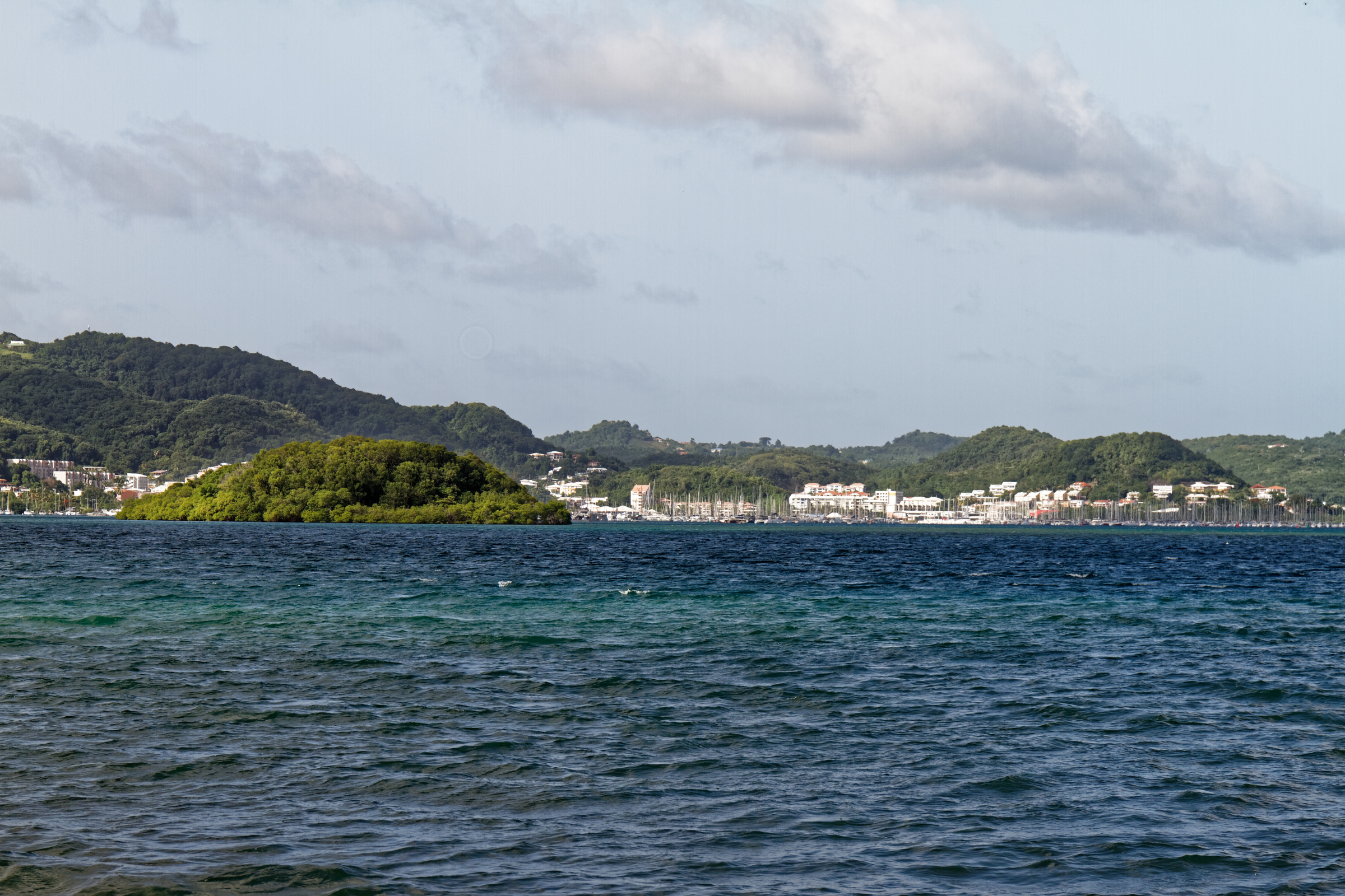 le marin (3).webp